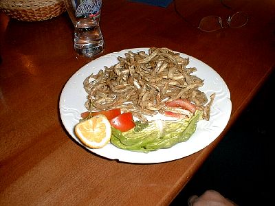 tn_020411_Florian_13_JPG.jpg