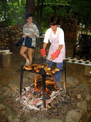 tn_IMG_1729_JPG.jpg