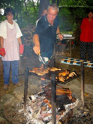 tn_IMG_1736_JPG.jpg