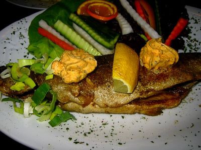 tn_IMG_5183_JPG.jpg