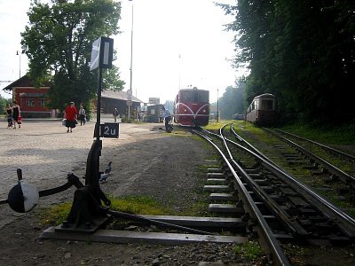 tn_IMG_5747_JPG.jpg