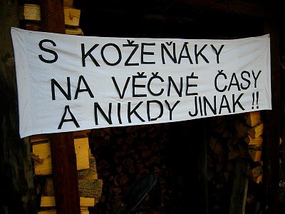 tn_IMG_1508_JPG.jpg