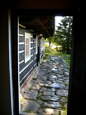 tn_IMG_2135_JPG.jpg
