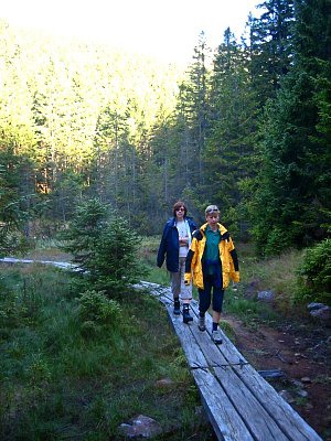 tn_IMG_2145_JPG.jpg