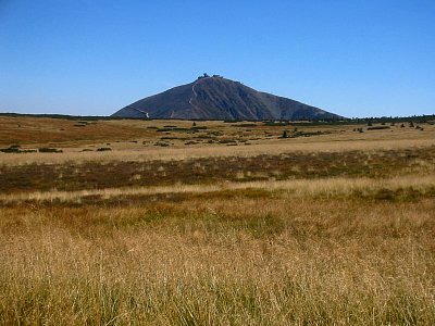 tn_IMG_2169_JPG.jpg