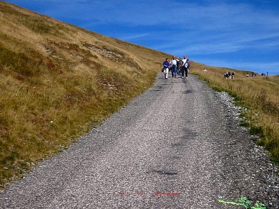 tn_IMG_2173_JPG.jpg