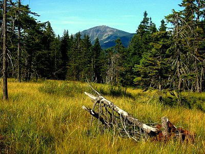 tn_IMG_2190_JPG.jpg