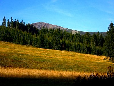 tn_IMG_2200_JPG.jpg
