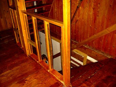 tn_IMG_2211_JPG.jpg