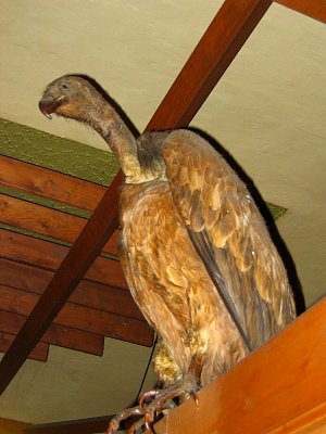 tn_IMG_7077_JPG.jpg