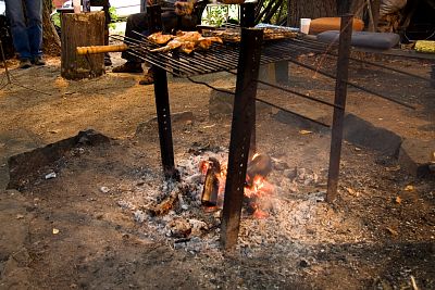 tn_IMG_9350rw_jpg.jpg