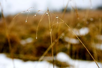 tn_IMG_0561rw_jpg.jpg