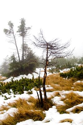 tn_IMG_0563rw_jpg.jpg