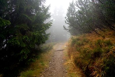 tn_IMG_0569rw_jpg.jpg