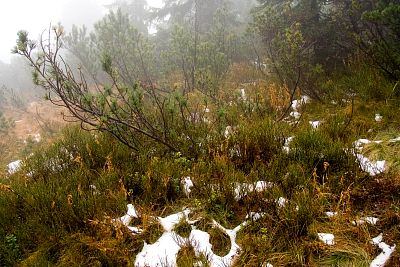 tn_IMG_0571rw_jpg.jpg