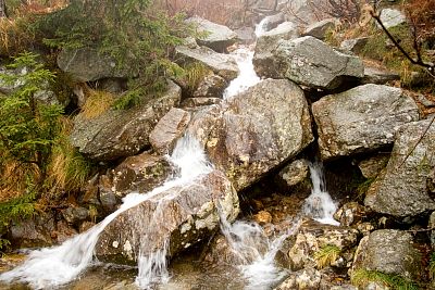 tn_IMG_0574rw_jpg.jpg