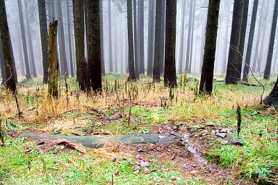 tn_IMG_0629rw_jpg.jpg